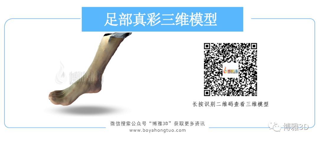 图片脚.png