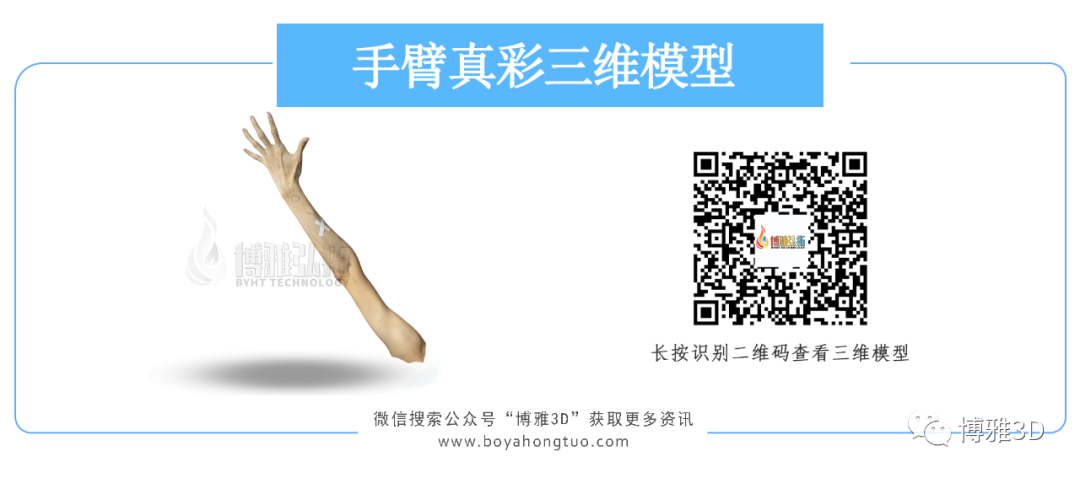 图片手.png